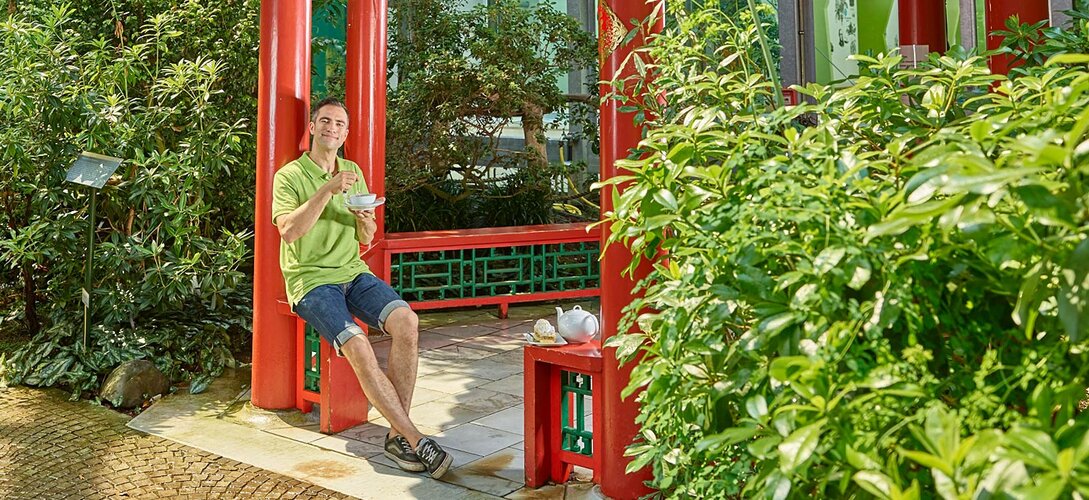 BOTANIKA (Vorschaubild)